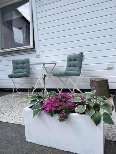 Cozy studio near Bergen in Olsvik