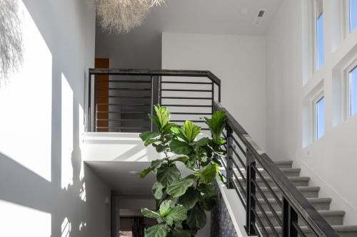 Sundance by the Lake Sundance by the Lake