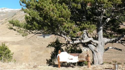 Borda del Pi Borda del Pi