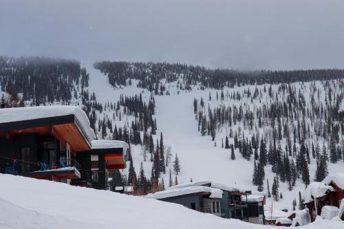 Crystal Run Schweitzer Ski Mountain in Sandpoint (ID)