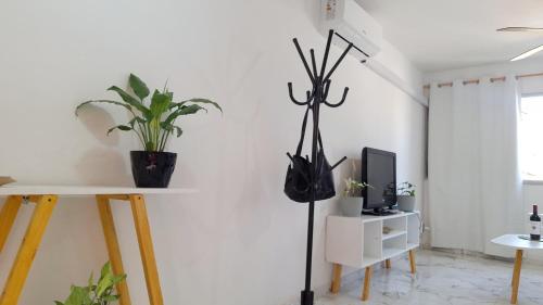 Three-Bedroom Apartment image 10