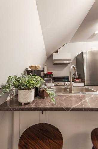 Konyha, Quiet and rural apartment in the country in Shawnigan Lake (BC)