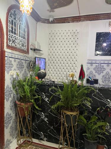 Daryussef 114 – Marrakech, KY