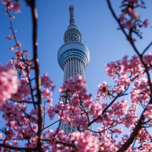 Japan House Skytree B