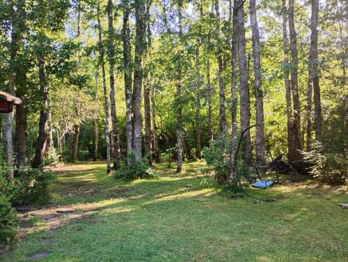 Casa en bosque a 10 minutos del centro de Pucón (Casa en bosque a 10 minutos del centro de Pucon) in Candelaria