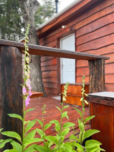 전망, alojamientos CM in 톨우인