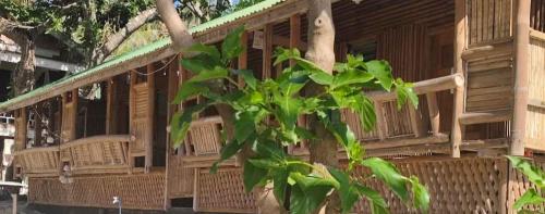 Diva Sunrise Beach Resort in Dipaculao