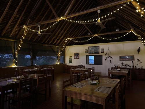 Ravintola, Bwana Tembo Safari Camp in Paraa