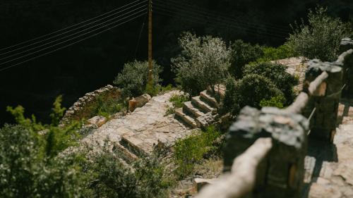 Beautiful natural surroundings