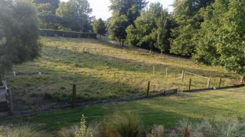 Hidden Gem in Teavamutu