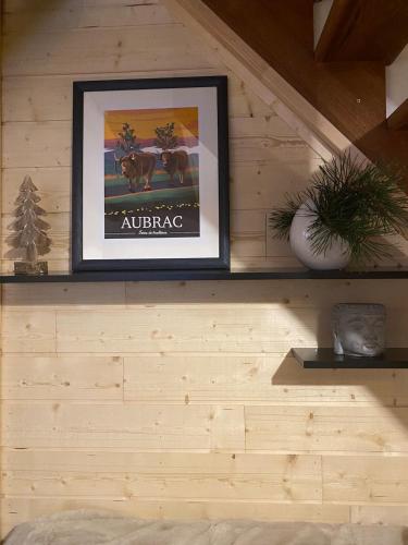 Chalet chaleureux et fonctionnel in Laguiole