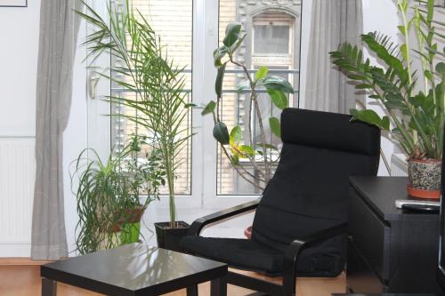 Erkel Apartment, Budapešť (fotografie 7)