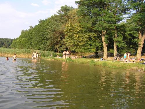 pludmale, Ferienwohnungen Birkenhof in Großwoltersdorf