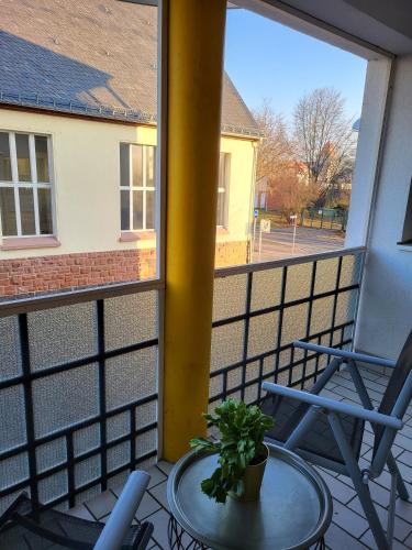 Golden Star in วอมส์