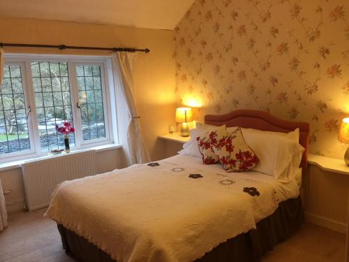 Dragon Bed and Breakfast in 百特斯