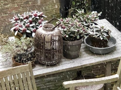 t Ateliertje Noort in Boschrand