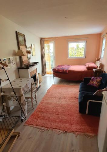 Peaceful green setting near to Paris Center in Пантен