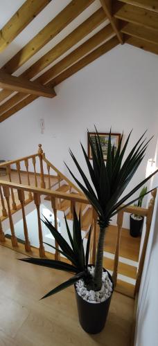 A Casa da Loja in ริเบรา ชา