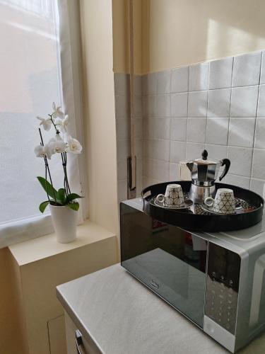 San Pietro Happy Home, Рим (фото 9)