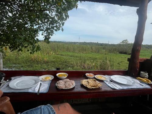 Little birds in 坦加勒