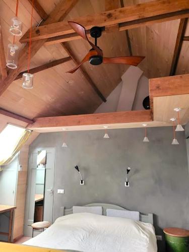 Studio Nok bij Den Bosch