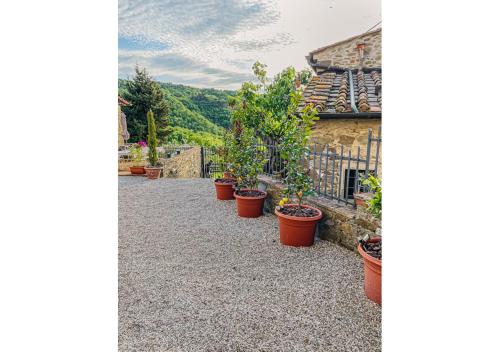 Kert, Chianti Home with Pool Terrace Garden and Magnificient View 2 to 8 persons in Lamole