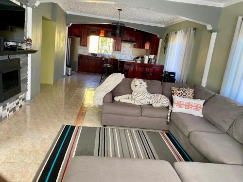 Moonlit Meadow B&B in ดุนกัน