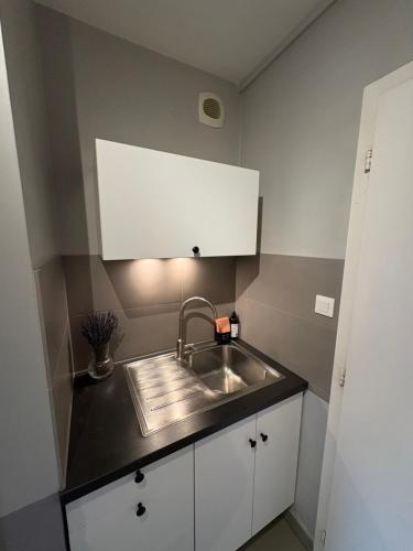 Studio lumineux dans ancien Cronenbourg, Strasburgo (foto 8)
