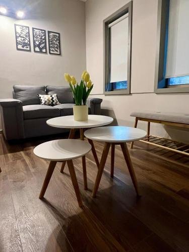 Departamento Roble