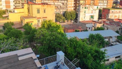 Tra i giardini della scalinata di San Gennaro