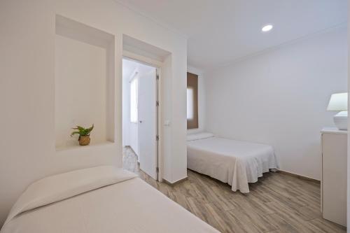 Apartamentos Benidorm Chorrol - image 8