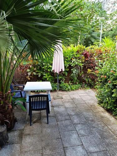 Studio confortable à Schoelcher - 16 m² - Jardin privé (Studio confortable a Schoelcher - 16 m² - Jardin prive) in Schœlcher