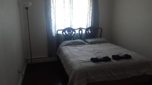 Cozy & bright private one-bed rm, Edmonton