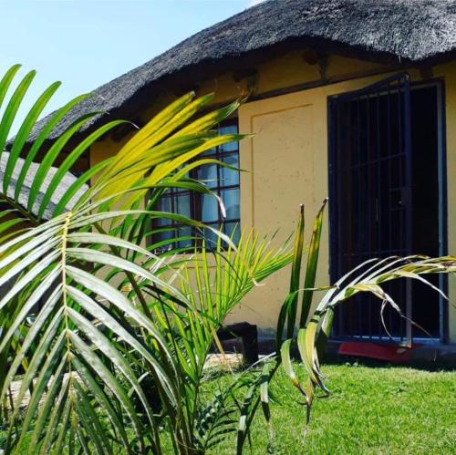 Jamrock Lodge in Mabopane