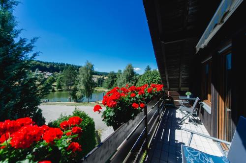 Výhled, Ferienwohnungen Am Skilift in Herrischried
