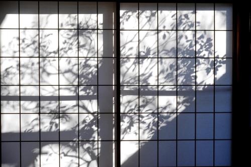 Mitsuki Kyoto – Kyoto, IL
