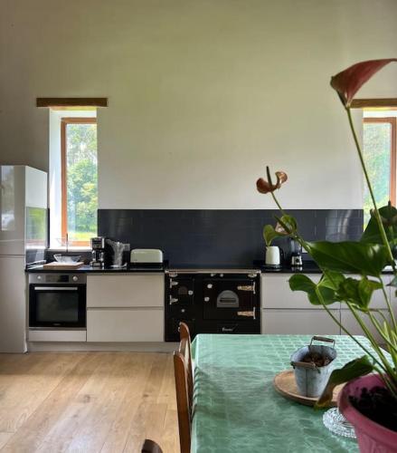 Casa Ecologica The Land of Eve escape rural gîte à louer Guitiriz