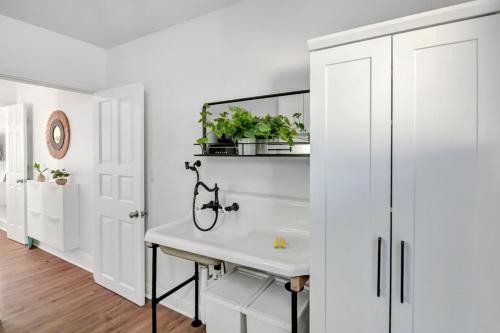 Konyha, W. Cola Mini Pad -Tiny House in West Columbia (SC)