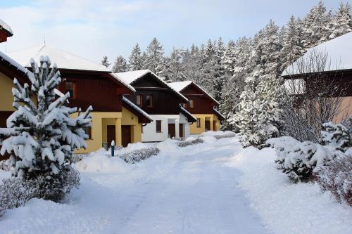 Villa Park Lipno-Lipno-In - image 9