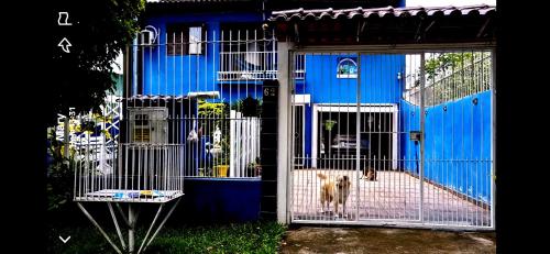 Casa Blue