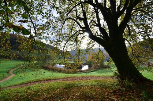 Bad Schauenburg - image 9