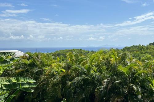 Bungalow Cosy in Grand-Bourg