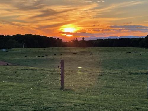 Alrededores, NC Foothills Cottage with Views in Jonesville