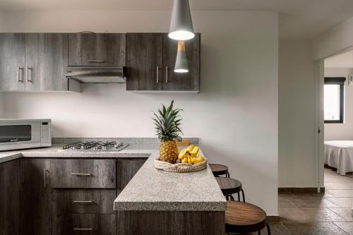 virtuve, Coyotes Housing Services - Torres Departamentales in Peñuelas