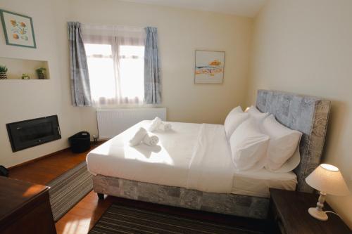 AURORA-INN, Thessaly