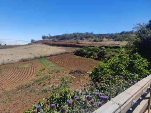 Finca El Cercadillo – Galdar, AL