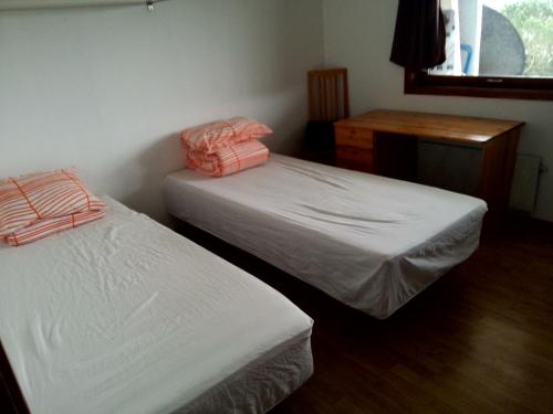 花园景民宿 花园景民宿