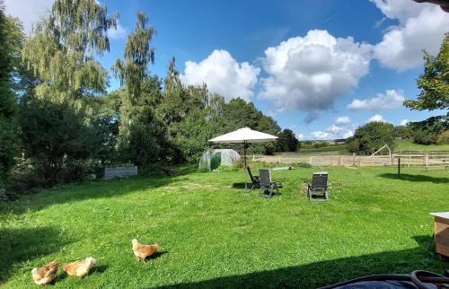 景觀, Traumhafte Auszeit direkt am Nürburgring (Traumhafte Auszeit direkt am Nurburgring) in 凱爾貝格鎮中心