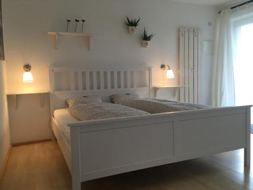 Innsbruck Apartment Nigler
