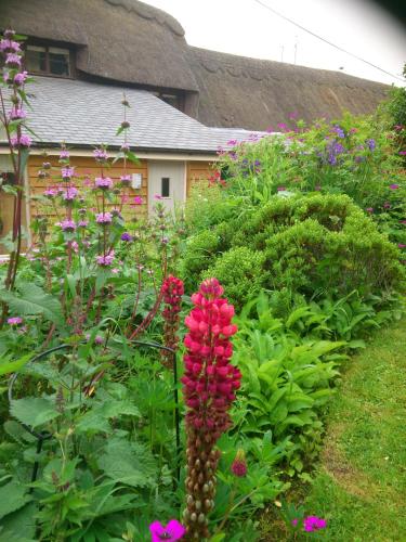 The Steppes Holiday Cottages